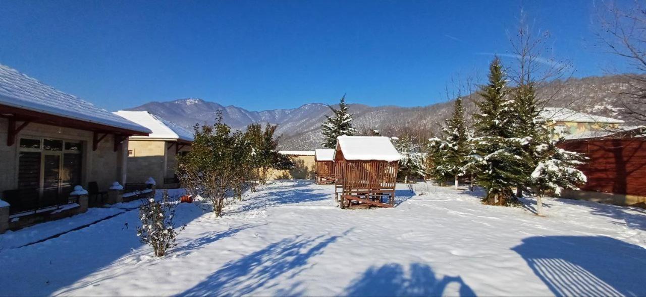 Gabala Bliss Inn Hotel And Restaurant Bagian luar foto